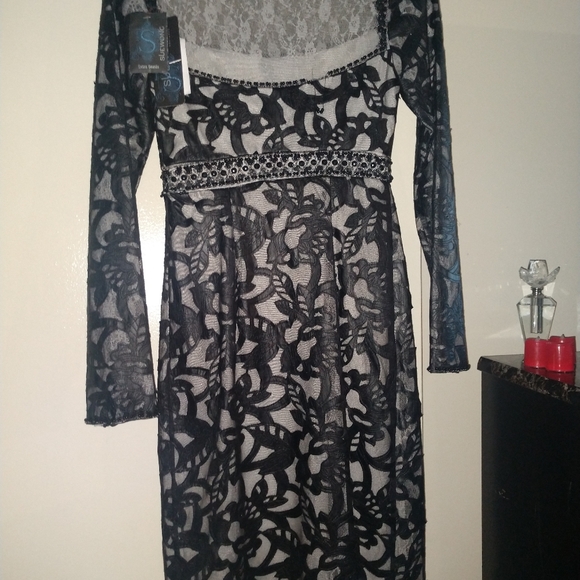 Sue Wong Lace and Leather Beaded Dress - Picture 8 of 8